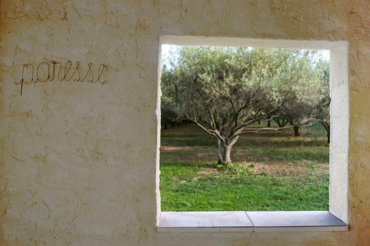 Mas De L'Arrivette Bed & Breakfast Saint-Geniès-de-Comolas Dış mekan fotoğraf